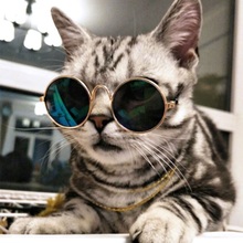 Солнцезащитные очки для домашних животных кошачий глаз 2024 - купить недорого