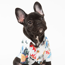 Cotton Summer Hawaii Style French Bulldog Shirt Pet Dog Clothes for Small Dogs Pets Clothing Chihuahua Yorkshire Pug Costume 2024 - купить недорого