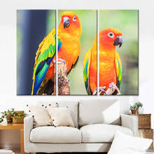 Drop-shipping Unframed Colorful Birds Painting Print on Canvas Home Decor Wall Art Animal Oil Pictures for Living Room 3 Pieces 2024 - buy cheap