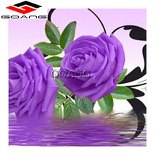 diamond mosaic diamond cross stitch kits 5d diy diamond painting flowers diamond embroidery wall sticker purple rose 2024 - buy cheap