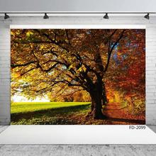 Fondo fotográfico de vinilo para estudio fotográfico, árbol con hojas de otoño, camino, Alley, para bodas, niños, bebés y mascotas, fotomatón 2024 - compra barato