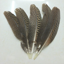 Wholesale 10 Pcs high quality scare natural owl eagle feathers 25-30CM 10-12inch Pheasant feather Diy jewelry Wedding decoration 2024 - buy cheap