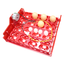 Incubadora de codorniz de 16 o 64 huevos de aves, bandeja de huevos con giro automático, accesorios de mano para incubadora de laboratorio 2024 - compra barato