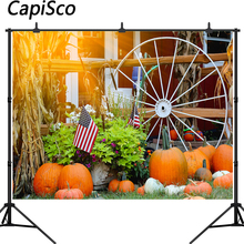 Capisco Autumn Wheel flag Pumpkin Harvest Seasons Baby Portrait Photo Background Photographic Backdrops Photo Studio 2024 - buy cheap