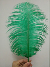 Wholesale 50 pc high quality grass green ostrich feather 12-14inches / 30-35CM diy decorative vases / Accessories / Apparel 2024 - buy cheap