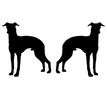 16*8.5CM Italian Greyhound Dog Animal Stickers Creative Fashion Car Motorcycle Decorative Decals C6-1176 2024 - buy cheap