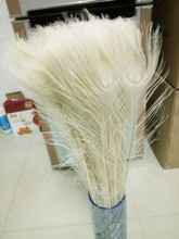 Wholesale 500 pcs Rice white Peacock Tail Feathers about 32-34inches / 80-90cm 2024 - buy cheap