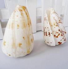 TPRPLH 2Pcs Natural Ocean Sea Shell Wedding Home Decoration Beach Conch SeaShells Aquarium Fish Tank Ornaments Snail Crafts 2024 - buy cheap