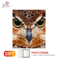 Framed Bird DIY Diamond Painting Owl 5D Diamond Embroidery Cross Stitch Full Mosaic Needlework Home Decor Square Round Love Gift 2024 - buy cheap