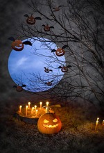 Halloween Photo for Background Evil Pumpkins Candle Backdrops Vinyl Printed Photographic Backgrounds Full Moon Photophone 2024 - buy cheap