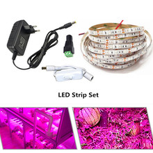 DC12V LED Plant Growth Lamp Belt SMD5050 Grow Strip Lights+Power Adapter+DC Switch for Garden Flowering Plant Hydroponics System 2024 - buy cheap