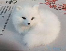 simulation fox 13x12cm hard model,polyethylene&fur white fox toy,prop.home decoration Xmas gift 1744 2024 - buy cheap