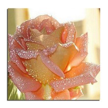 Drip Rose 25X25 nuevos productos para manualidades pintura Diy Kit de bordado de diamantes flor mosaico completo de diamantes punto de cruz costura nuevo 2024 - compra barato