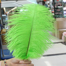 Wholesale free shipping high quality 20pcs natural green ostrich feather 20-22inch / 50-55cm Variety of decorative 2024 - buy cheap