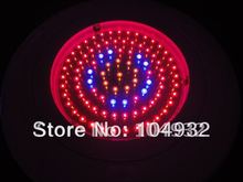 2pcs/lot Free Shipping EMS/DHL New 90W LED Plant Grow Light  Plant Grow Lamp R+B+O7:1:1 630NM&460NM&610NM 2024 - buy cheap