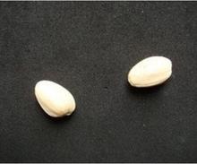 Pistachio de nozes em vidro, copo de vidro, truques de mágica, peneira, mágico, fechar a ilusão, adereços de mágica, mentabilidade, comunicação 2024 - compre barato