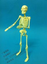 mini human skeleton educational model 20cm bulimic mannequin , educational toys model skeleton model free shipping 2024 - buy cheap