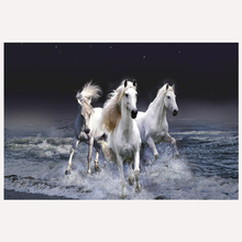 5D животные Алмазная картина полный квадрат/круглые три белых лошади Мозаика DIY Алмазная вышивка, лошадь вышивка крестиком домашний декор 2024 - купить недорого