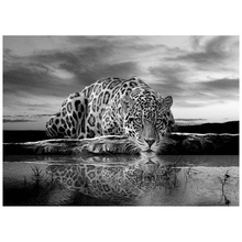 5d quadrado redondo diy pintura de diamante animais leopardo preto branco arte de parede daipor bordado ponto de cruz StickerZP-2499 2024 - compre barato