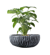 T4U Ceramic cement flowerpot for succulent Planter Pot Cactus bonsai Plant Pots Flower Pot Container garden decoration 2024 - buy cheap