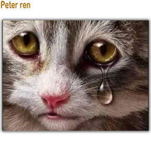 Diy pintura de diamante punto de cruz animal gato cuadrado \ mosaico redondo Rhinestone icono bordado completo decoraciones del hogar lágrimas de gatito 2024 - compra barato