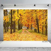 Yellow Trees Pathway Photographic Backdrop Vinyl Cloth Photo Shootings for Wedding Lover Baby Children Photo Studio Camera Photo 2024 - buy cheap