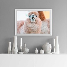 Cuadros decoracion cartazes e estampas llama quadros em tela imagem animal nordic arte da parede modular fotos para sala de estar 2024 - compre barato