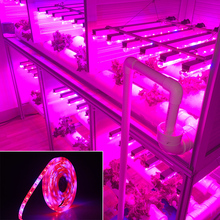 Фитолампа светодиодная полного спектра для выращивания растений, 5 м, SMD 5050 300 2024 - купить недорого