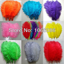 Free Shipping! 200pcs/lot 25-30cm 10-12" Top quality ostrich feathers ostrich drab feather plumes 2024 - buy cheap