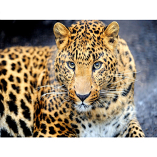 5D алмазная живопись «сделай сам», молодой леопард, полноразмерная/круглая Алмазная вышивка крестиком Стразы, мозаичный Декор NX 2024 - купить недорого