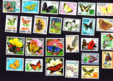 Sello de tema de 20 piezas, sellos de mariposa bonitos del mundo, todos los diferentes de muchos países, NO se repiten, sellos de franqueo grabados 2024 - compra barato