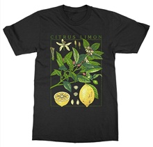 Kuacuayu hjn camiseta de planta de limão, camiseta de manga curta com gola em o para jardim botário impresso de jardim plantas e frutas 2024 - compre barato