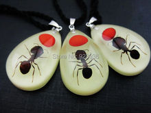 50PCS Real Ant Glowing Resin Necklace Pendant Real Bug Jewelry For Promotion Novel Gift,Souvenir,Birthday Gift 2024 - buy cheap