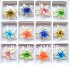 12X Handmade Starfish Murano Lampwork Glass Pendant ,GP9 2024 - buy cheap