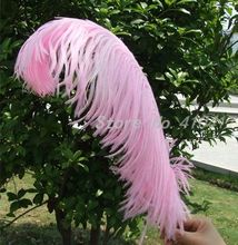 10 pcs bonito 40 - 45 cm ( 16 - 18 polegadas ) penas cor de rosa avestruz para decoração de casa pena presente 2024 - compre barato