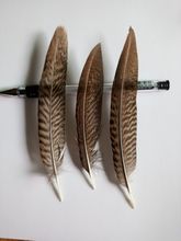 wholesale 50 pcs quality natural Pheasant feathers, 4-6inches / 10-15cm DIY decorative handicrafts accessories 2024 - buy cheap