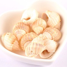 20-30mm 10pcs Natural Shell Loose Beads for jewelry making Bracelet Necklace Earring Making TRS0290 2024 - buy cheap