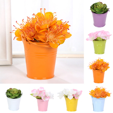 Cute Mini Flower Pots Solid Color Plants Planters Pot Pail Bucket Wedding  Party Candy Favours Home Decor Flower PotsPlanters 2024 - buy cheap
