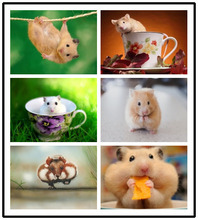 LIPHISFUN Full Drill Diamond Painting Handmade Cross Stitch Embroidery Square/round DIY Hamster Cute Animal 2024 - buy cheap