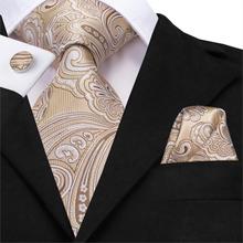 Corbata de seda para hombre, conjunto de corbata de boda de Cachemira marrón, flor de Jacquard de lujo, noeud papillon, conjunto de corbata de pañuelo caqui, SN-3244 2024 - compra barato