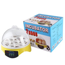 7PCS Eggs Automatic Poultry Mini Incubator Temperature Control Automatic Poultry Automatic Brooder Turning Incubator Chicken 2024 - buy cheap