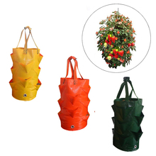 35 x 20CM 3 Gallons Strawberry Planting Bag Gardening Flower Planting Bag Gardens Hanging Bag Tool Garden Supplies New 2024 - buy cheap