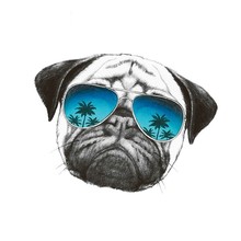 Pegatina de dibujos animados para perro Pug, lavable, nuevo diseño, accesorio artesanal para ropa, insignias de transferencia de calor, apliques 2024 - compra barato