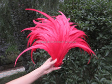 30-35cm /12-14 inch pure red Rooster tail feathers Chicken feathers cock tail feather Rooster Tail Coque Feathers 10pcs 2024 - buy cheap