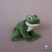 Soft Baby Toys Real Life  Plush  Animals Toy Frogs Dolls Stuffed Animal Toy Present  Shops 2024 - buy cheap