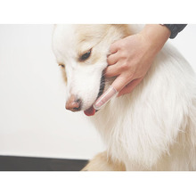 Прозрачная силиконовая зубная щетка для собак и кошек, принадлежности для домашних животных 2024 - купить недорого