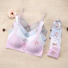 Women Lingerie Bra Briefs Set Soft Underwear Cute Cartoon Panties Wire Free Bra Set Bralette 2024 - buy cheap