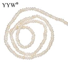 Perlas naturales de agua dulce para fabricación de pulseras, accesorios de joyería, collar, color blanco, 2-3mm 2024 - compra barato