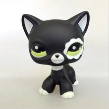 LPS Kawaii аниме Pet Shop ПВХ животных черный короткошерстая кошка Kitty #33 домашних животных Кукла фигурку Модель Дети игрушечные лошадки приятные подарки 2024 - купить недорого