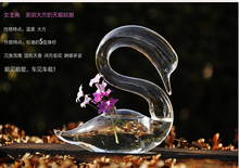 1 Pair Swan Shape Vase Clear Table Glass Terrarium Plant Flower Decoration 2024 - buy cheap